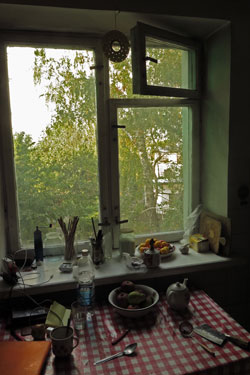 Kitchen Window